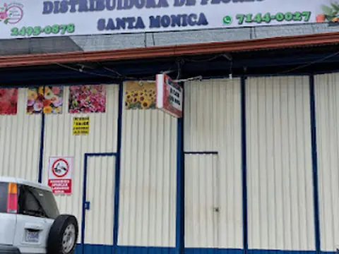 Distribuidora de Flores Santa Monica