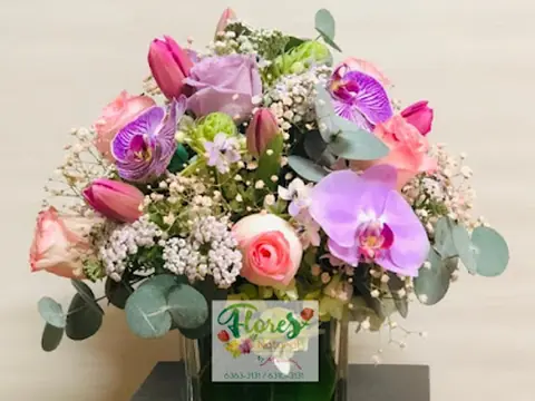 Flores Natural