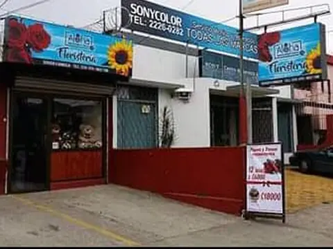 Floristería Aloha