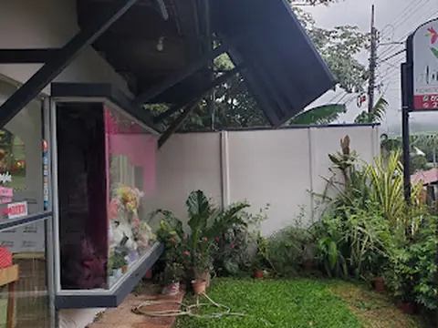 Floristería Anturios
