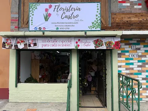 Floristería By Castro Santa Ana