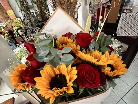 Floristería Colibrí
