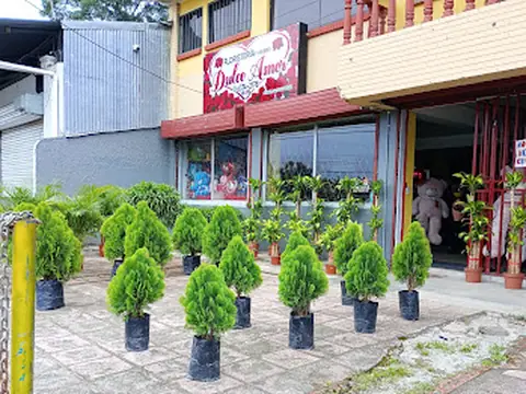 Floristería Dulce Amor