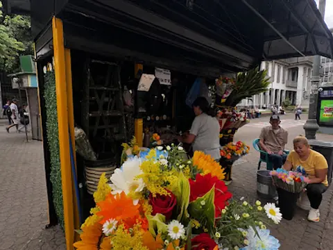 Floristería el Correo