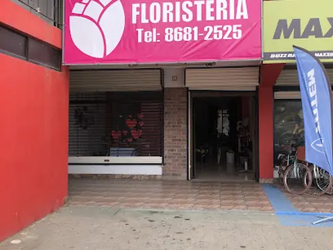 Floristeria Enviar Flores