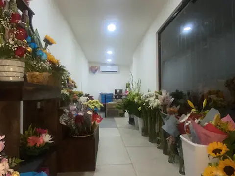 Floristería infinity
