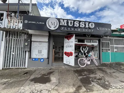 Floristería Mussio Hatillo