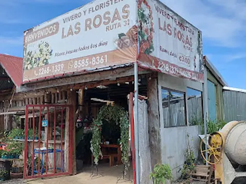 Floristería y Vivero Las Rosas