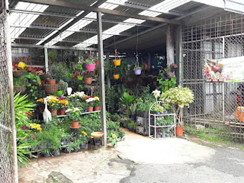 Floristeria y Vivero Ron Lui