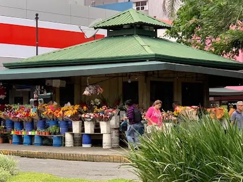 Floristerías Mercado Central