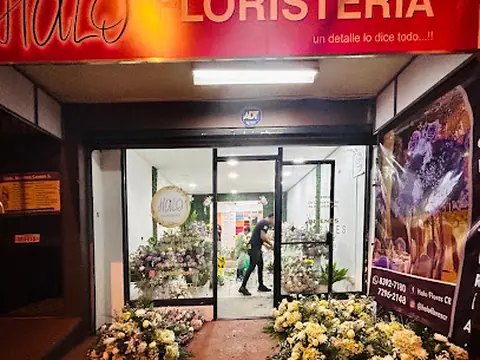 Halo Floristería