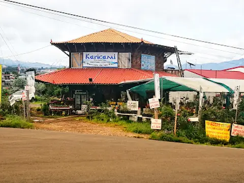 Karicami