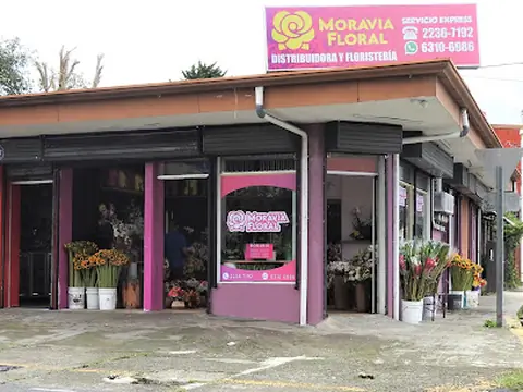 Moravia Floral