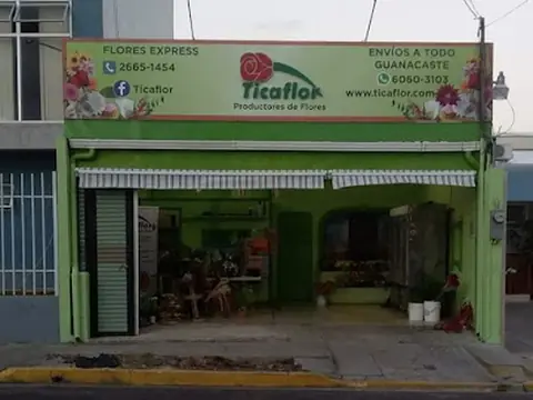 Ticaflor