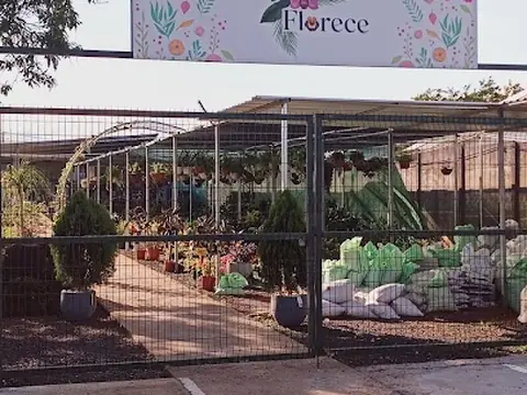 Vivero Florece
