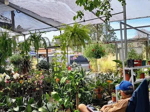 Vivero La Casita