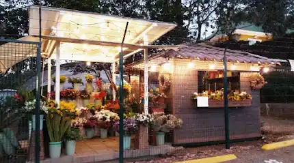 Flores del Kiosco
