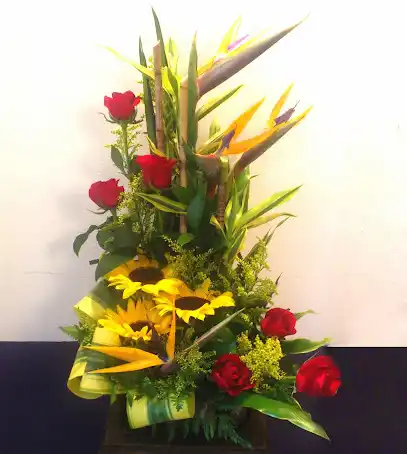 Floristería Colón
