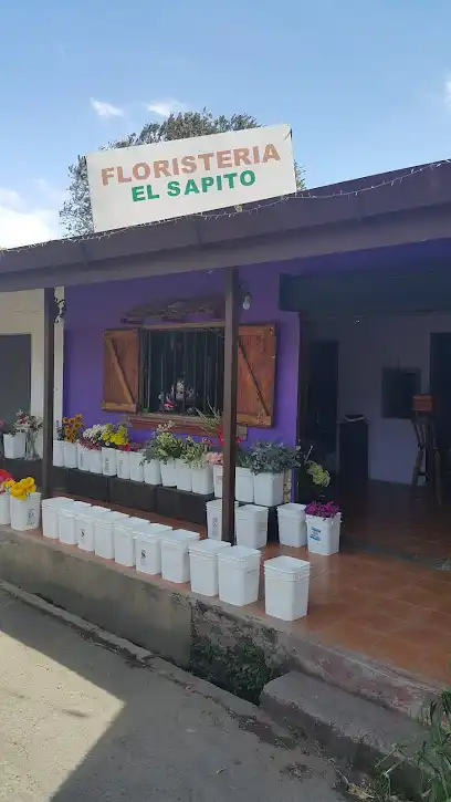 Floristeria El Sapito Verde
