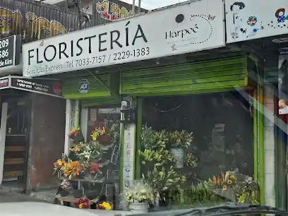 Floristeria Harpeé
