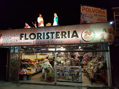 Floristería Plaza Víquez
