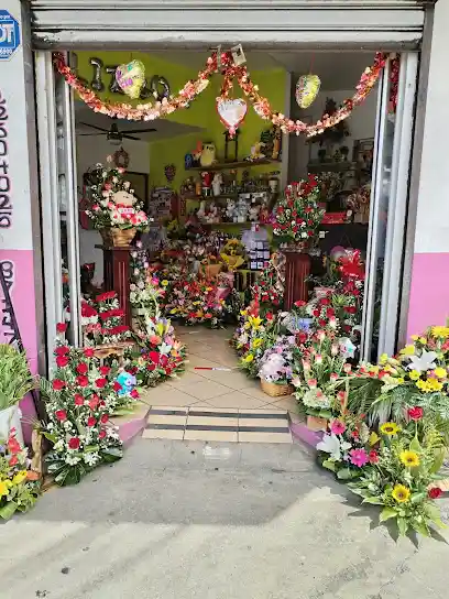 Floristería Rosa de Francia
