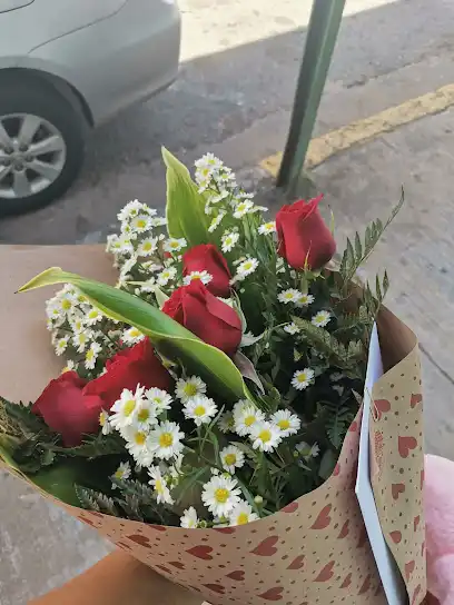 Floristería San Isidro
