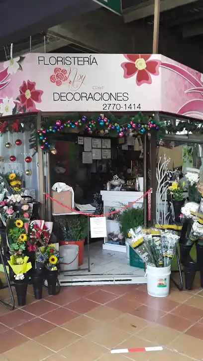 Floristería y decoraciones Noy
