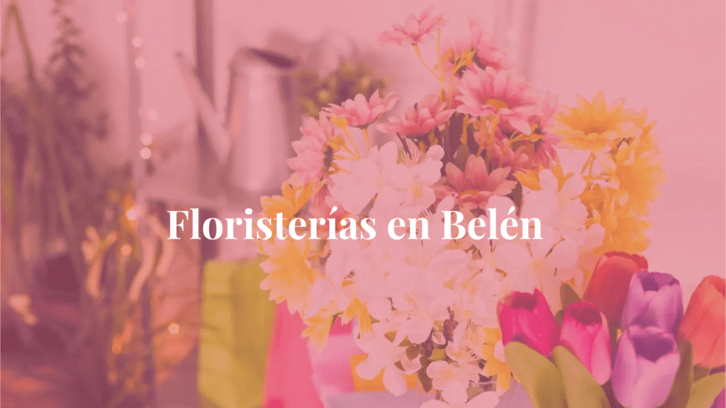 Floristerías en Belén