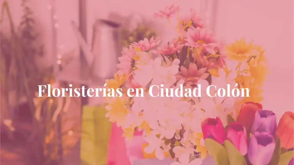 Floristerías en Ciudad Colón