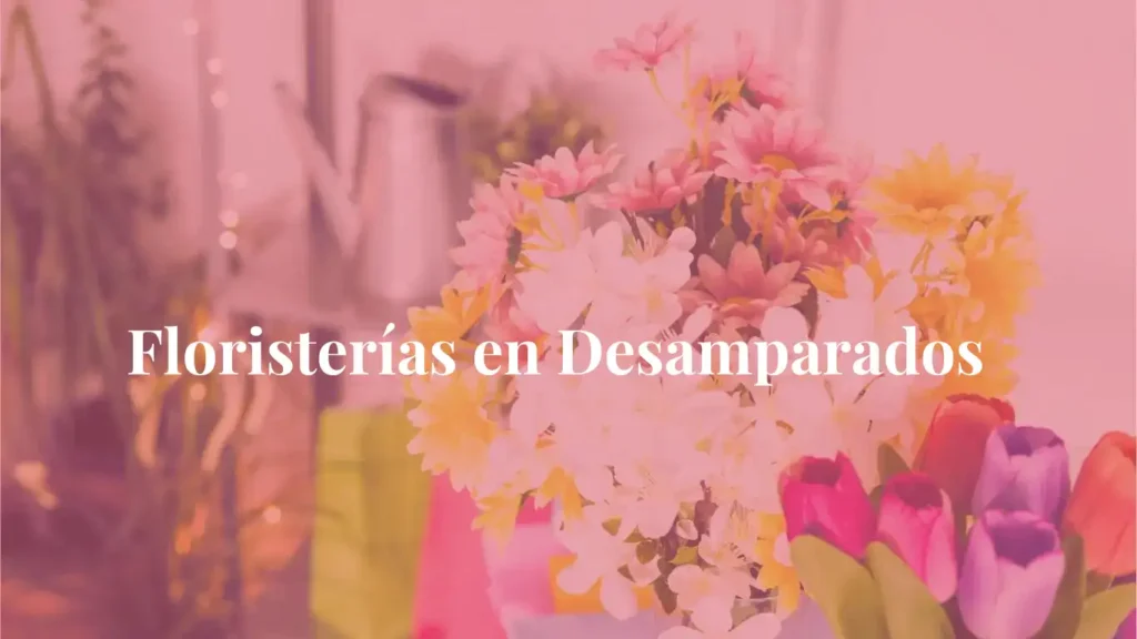 Floristerías en Desamparados