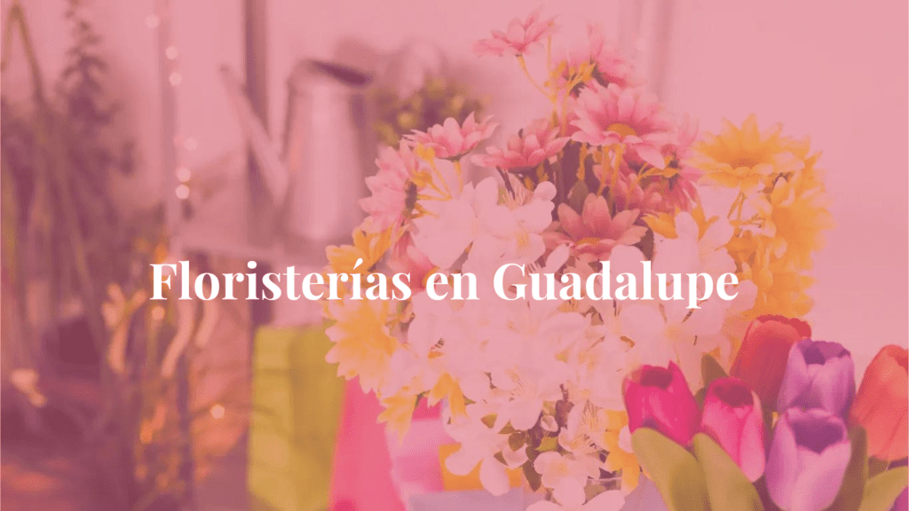 Floristerías en Guadalupe