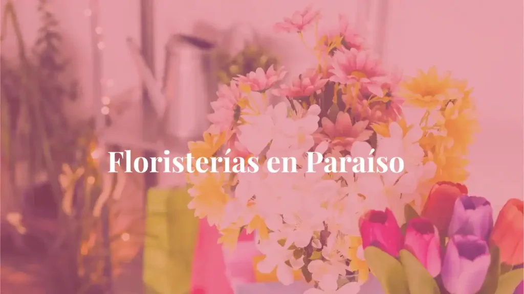 Floristerías en Paraíso de cartago