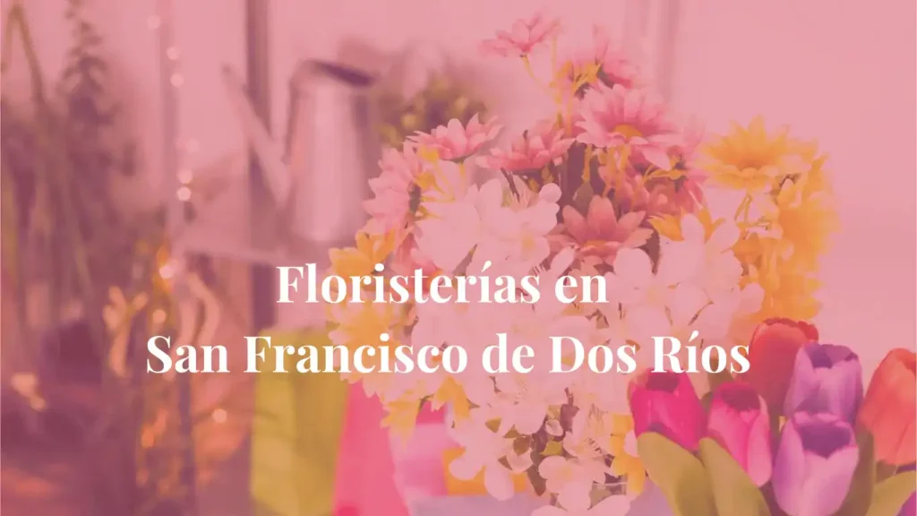 Floristerías en San Francisco de Dos Ríos