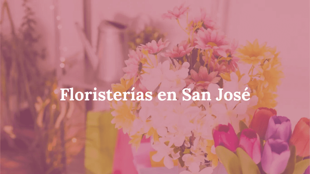 Floristerías en San José