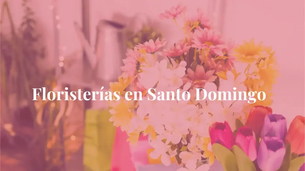 Floristerías en Santo Domingo